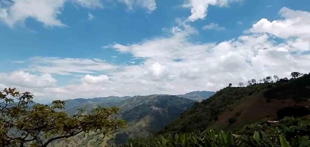 Lote en venta en La Linda, Manizales, 220 m² · foto 2 de 10