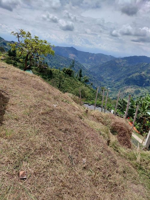 Lote en venta en La Linda, Manizales, 220 m² · foto 7 de 10