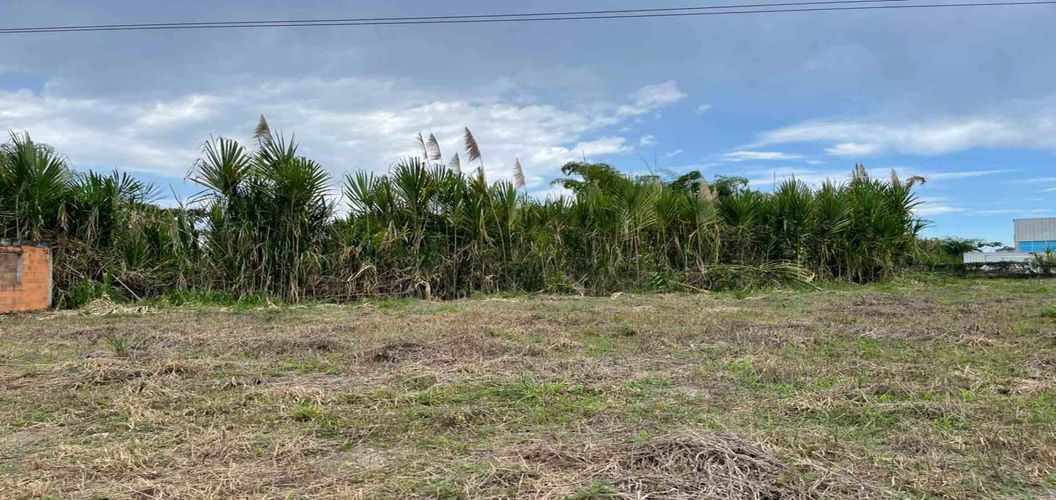 Lote en venta en El Estanquillo, Dosquebradas · foto 6 de 13