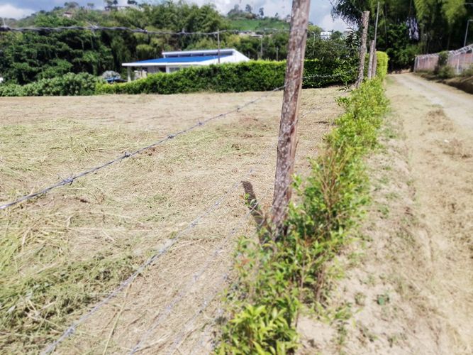 Lote en venta en Combia, Pereira · foto 2 de 9