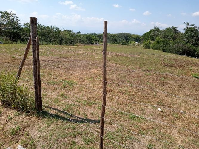 Lote en venta en Combia, Pereira · foto 3 de 9