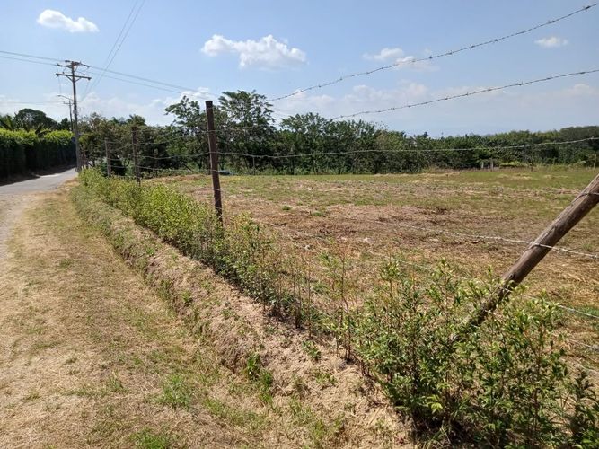 Lote en venta en Combia, Pereira · foto 4 de 9