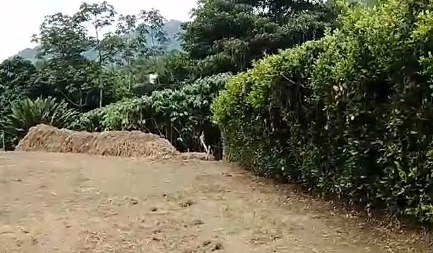 Lote en venta en Combia, Pereira · foto 9 de 9