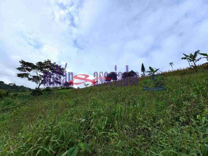 Lote en venta en Condina, Pereira, 25600 m² · foto 2 de 12