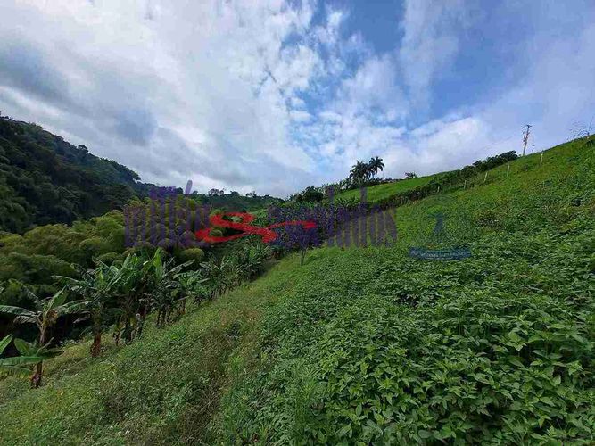 Lote en venta en Condina, Pereira, 25600 m² · foto 3 de 12