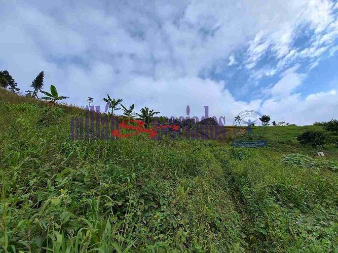 Lote en venta en Condina, Pereira, 25600 m² · foto 4 de 12