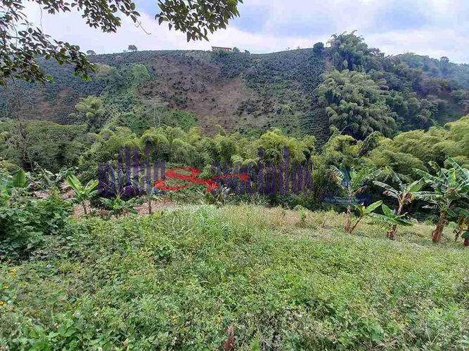 Lote en venta en Condina, Pereira, 25600 m² · foto 6 de 12