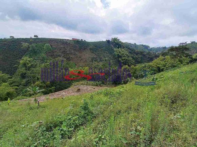 Lote en venta en Condina, Pereira, 25600 m² · foto 7 de 12