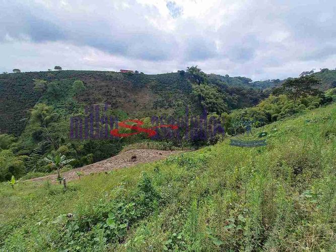 Lote en venta en Condina, Pereira, 25600 m² · foto 8 de 12