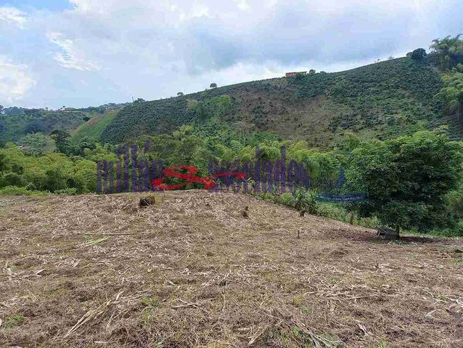 Lote en venta en Condina, Pereira, 25600 m² · foto 9 de 12