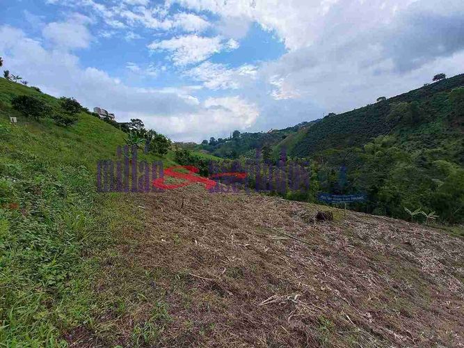 Lote en venta en Condina, Pereira, 25600 m² · foto 10 de 12