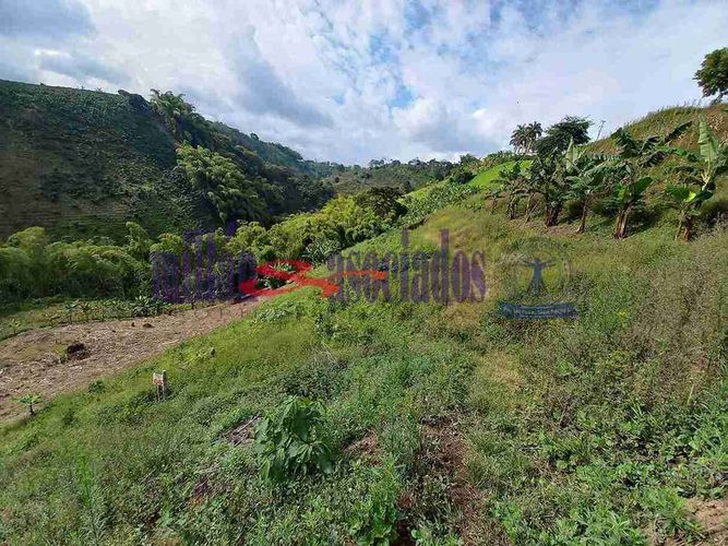 Lote en venta en Condina, Pereira, 25600 m² · foto 11 de 12