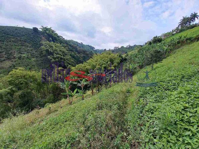 Lote en venta en Condina, Pereira, 25600 m² · foto 12 de 12
