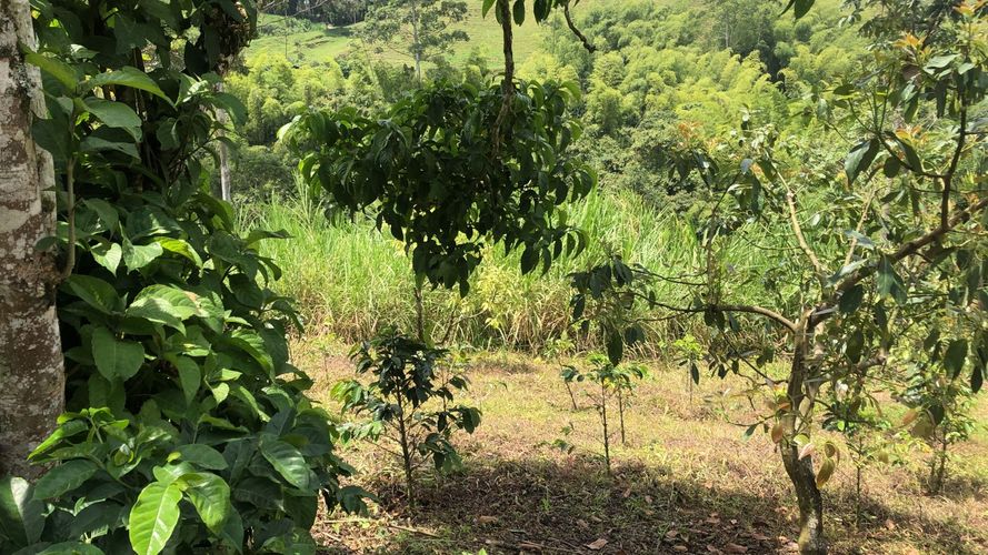 Lote en venta en El Rodeo, Dosquebradas, 200 m² · foto 5 de 10