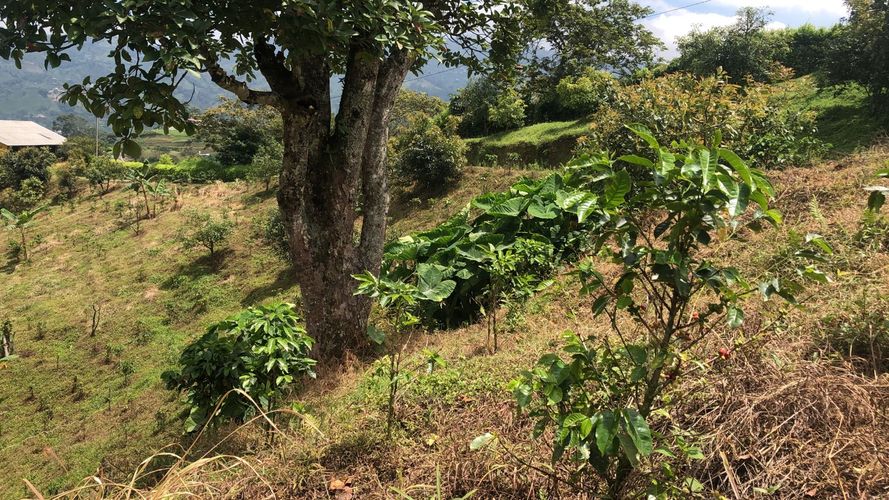 Lote en venta en El Rodeo, Dosquebradas, 200 m² · foto 8 de 10