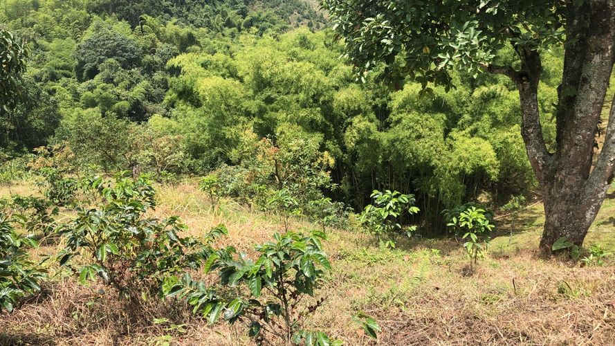 Lote en venta en El Rodeo, Dosquebradas, 200 m² · foto 10 de 10
