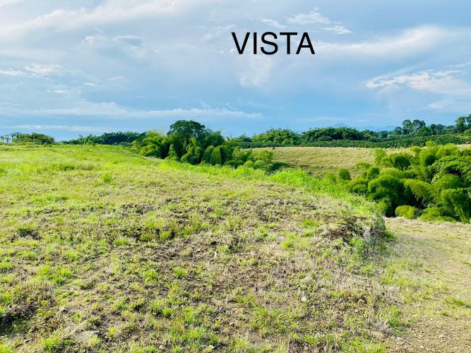Lote en venta en Trincheras, Pereira · foto 4 de 4