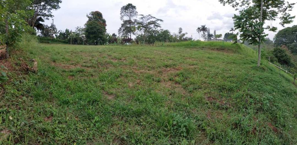 Lote en venta en San Jose Sur, Pereira, 1800 m² · foto 2 de 21