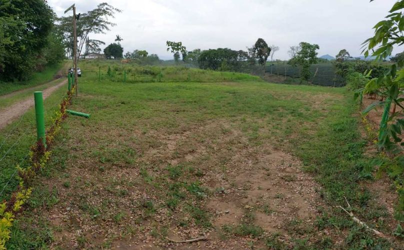 Lote en venta en San Jose Sur, Pereira, 1800 m² · foto 3 de 21