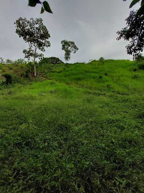 Lote en venta en San Jose Sur, Pereira, 1800 m² · foto 4 de 21