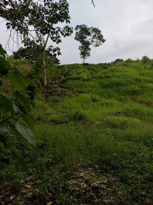 Lote en venta en San Jose Sur, Pereira, 1800 m² · foto 5 de 21