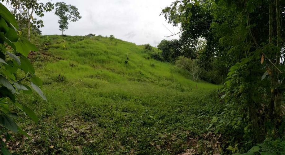 Lote en venta en San Jose Sur, Pereira, 1800 m² · foto 6 de 21