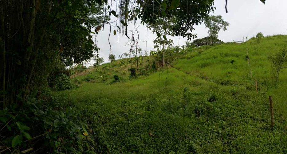 Lote en venta en San Jose Sur, Pereira, 1800 m² · foto 8 de 21