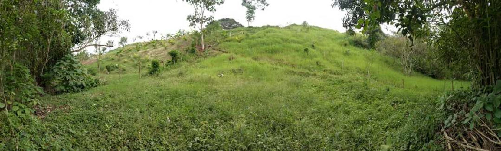 Lote en venta en San Jose Sur, Pereira, 1800 m² · foto 9 de 21