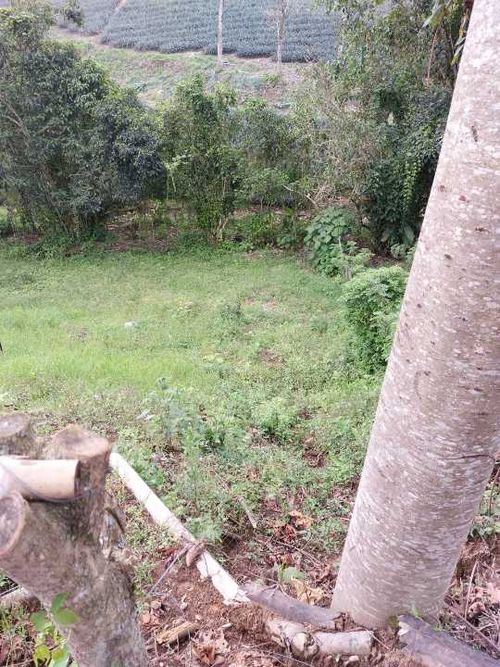Lote en venta en San Jose Sur, Pereira, 1800 m² · foto 10 de 21