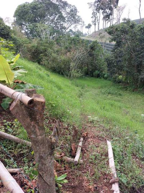 Lote en venta en San Jose Sur, Pereira, 1800 m² · foto 11 de 21