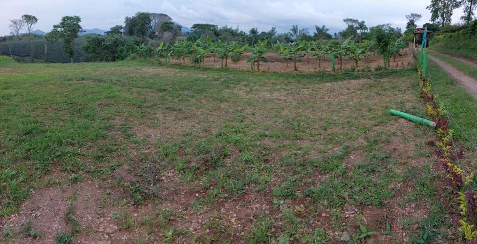 Lote en venta en San Jose Sur, Pereira, 1800 m² · foto 16 de 21