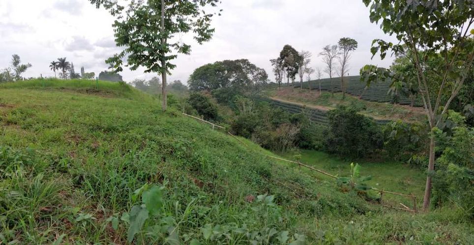 Lote en venta en San Jose Sur, Pereira, 1800 m² · foto 17 de 21
