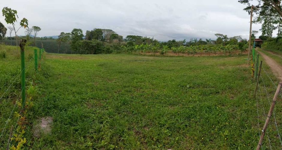 Lote en venta en San Jose Sur, Pereira, 1800 m² · foto 19 de 21