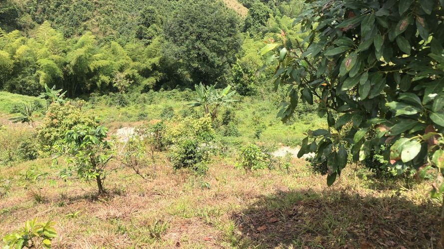 Lote en venta en Campestre A, Dosquebradas, 200 m² · foto 9 de 13