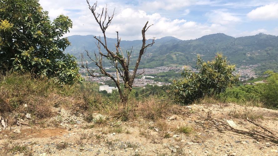 Lote en venta en Campestre A, Dosquebradas, 200 m² · foto 13 de 13