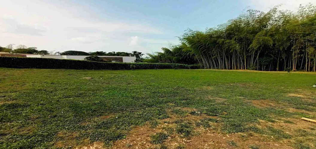 Lote en venta en Cerritos, Pereira, 2000 m² · foto 4 de 15