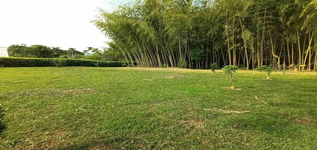 Lote en venta en Cerritos, Pereira, 2000 m² · foto 9 de 15