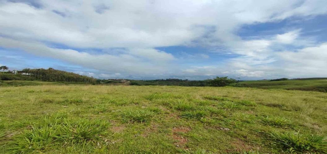 Lote en venta en Cerritos, Pereira · foto 4 de 10