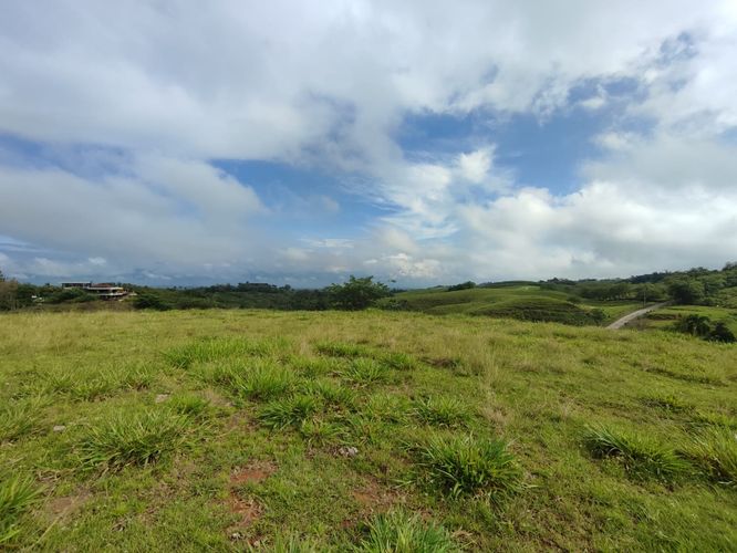 Lote en venta en Cerritos, Pereira · foto 5 de 10