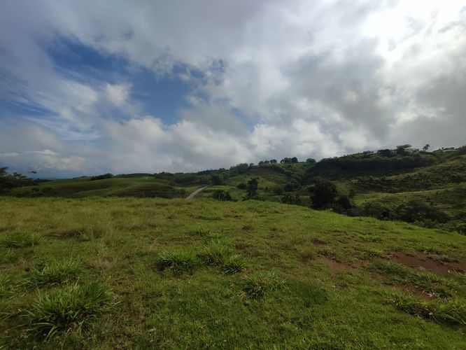 Lote en venta en Cerritos, Pereira · foto 7 de 10