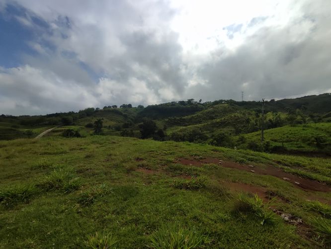 Lote en venta en Cerritos, Pereira · foto 8 de 10