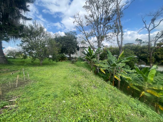 Lote en venta en Sector Bavaria, Armenia · foto 2 de 22