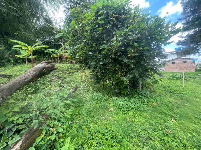 Lote en venta en Sector Bavaria, Armenia · foto 4 de 22