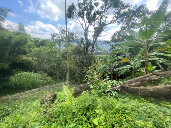 Lote en venta en Sector Bavaria, Armenia · foto 5 de 22