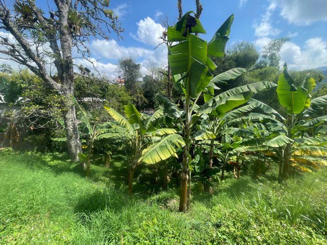 Lote en venta en Sector Bavaria, Armenia · foto 7 de 22