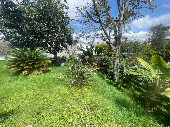 Lote en venta en Sector Bavaria, Armenia · foto 8 de 22