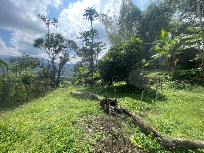 Lote en venta en Sector Bavaria, Armenia · foto 9 de 22