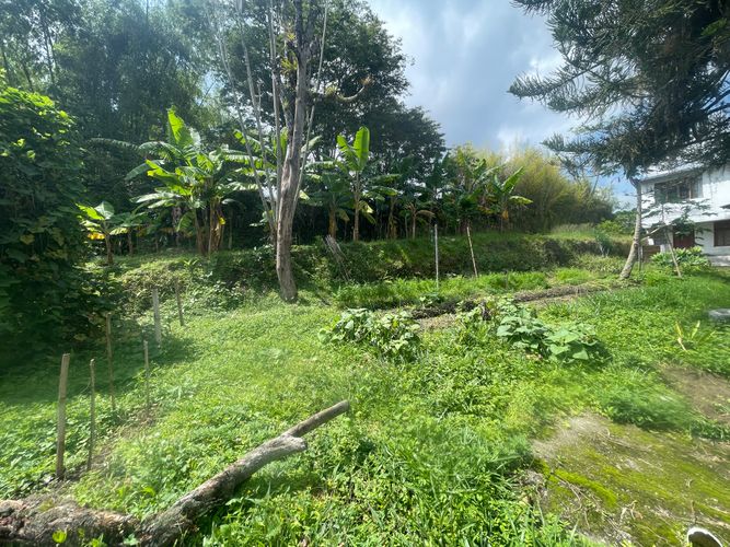 Lote en venta en Sector Bavaria, Armenia · foto 10 de 22