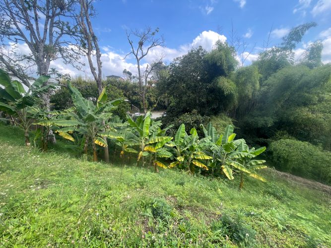 Lote en venta en Sector Bavaria, Armenia · foto 22 de 22