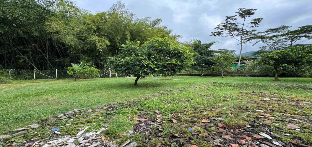 Finca en venta en Combia, Pereira, 1000 m² · foto 14 de 24